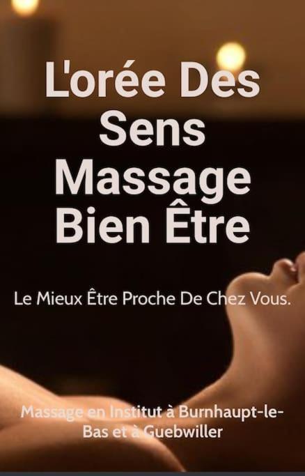 Gite Cosy Pour 2 A 4 Personnes, Village Proche Mulhouse Burnhaupt-le-Bas Luaran gambar