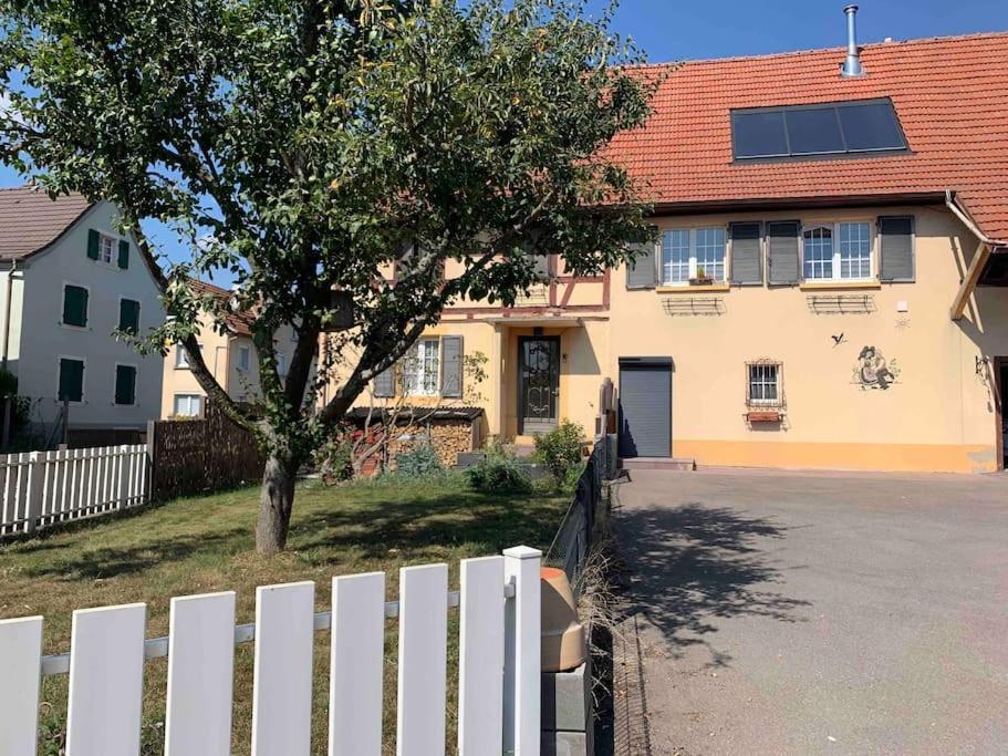 Gite Cosy Pour 2 A 4 Personnes, Village Proche Mulhouse Burnhaupt-le-Bas Luaran gambar